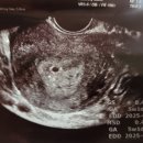 노블리여성의원 이미지