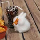 애플바이오 | 유기농 애사비 클렌즈100✨ 헬로바이오 애플 사이다 비니거 내돈내산 쿠팡 후기