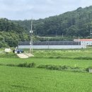 미자네 농장 이미지