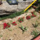 정다운휴게소 이미지