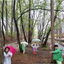 신라초등학교 이미지