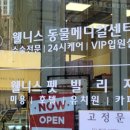 웰니스 펫 미용실 이미지