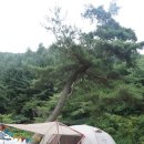 은이골농원 네이버블로그