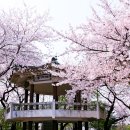 제물량로232번길 이미지