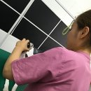 신내동물병원 이미지