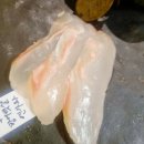 방파제회식당1호 | [광안리오마카세] 방파제, 회가 1차, 2차로 나오는 광안리 맛집 어향코스 솔직 후기