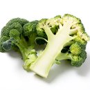 모단농장 이미지