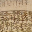 강정동-8 이미지