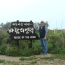 매봉산 바람의언덕 이미지