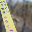 가학산 정상 전망대 이미지