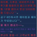 엘마르헤어