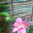 도봉-도봉-2432 이미지