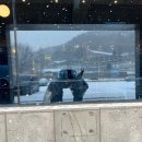 대림호텔 | 쏘박이와 함께한 충주 여행 (2) 🚌➰❄️