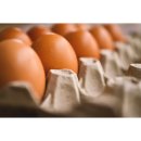 알뜰계란 이미지