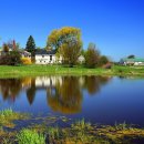 초록풍경 이미지