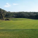 비치블랙스톤 이미지