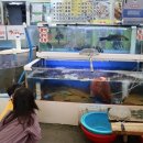 안면도수산 이미지