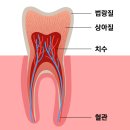 상쾌한필치과의원 이미지