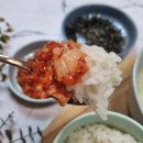 하이베리숲