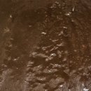 묵 집 | 전주방앗간 도토리묵 가루로 집에서 만든 진짜 도토리묵 후기 (중노송동방앗간 추천)