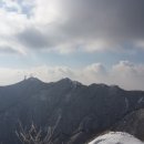 상신당구장 Daum카페