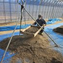 연당조전로 이미지