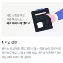 모요 이미지