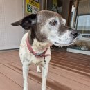 명도1리 마을회관 이미지