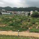 화영농장2 이미지