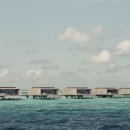 카푸롱 | W 몰디브 | 몰디브 리조트 메리어트 포인트 숙박 비교 | 메리어트 본보이 플래티넘 엘리트 | 포숙 효율...