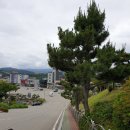 종도건어물