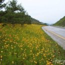 신주중학교 이미지