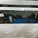 착한낙지 가게 앞 이미지