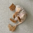 고방동물병원 이미지