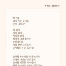 테라피+12 | 테라피 12