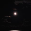 첫눈에부동산공인중개사사무소 이미지