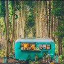 (주)제주가는길 이미지