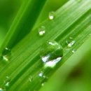 전원풍경 이미지