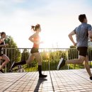 로드스타 휘트니스 이미지