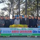 돼지사랑 이미지