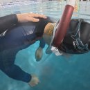 해동택시(주)노동조합 | 프리다이빙 강사님 지정 + 첫 다이빙 후기