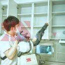 로취스토리