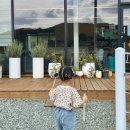 하리 농장 이미지