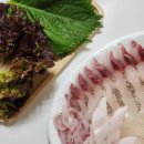 어가횟집 | 해운대 횟집 포장 후기｜어가횟집 모둠회 포장 솔직후기