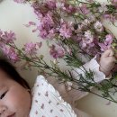 아기매트 종류별 비교와 선택! 크림하우스 프리2 내돈내산 후기