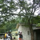 도원산장 이미지