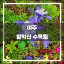 금낭화유치원 | 여주 황학산 수목원(2018.05): 소박함, 그게 전부!