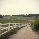 하얀목장 이미지