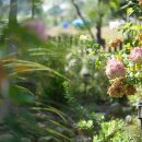 드림피드(주) 이미지