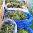 대성야채 이미지